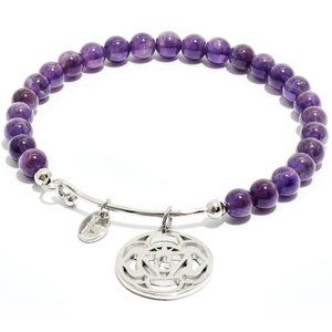 Chrysalis  Happiness Chakra Amethyst  Eye Bangle